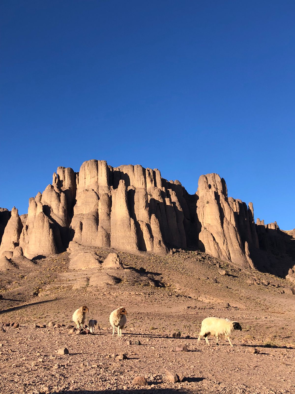 🏞 Voyage nature à Nkob – Vallées, montagnes et traditions