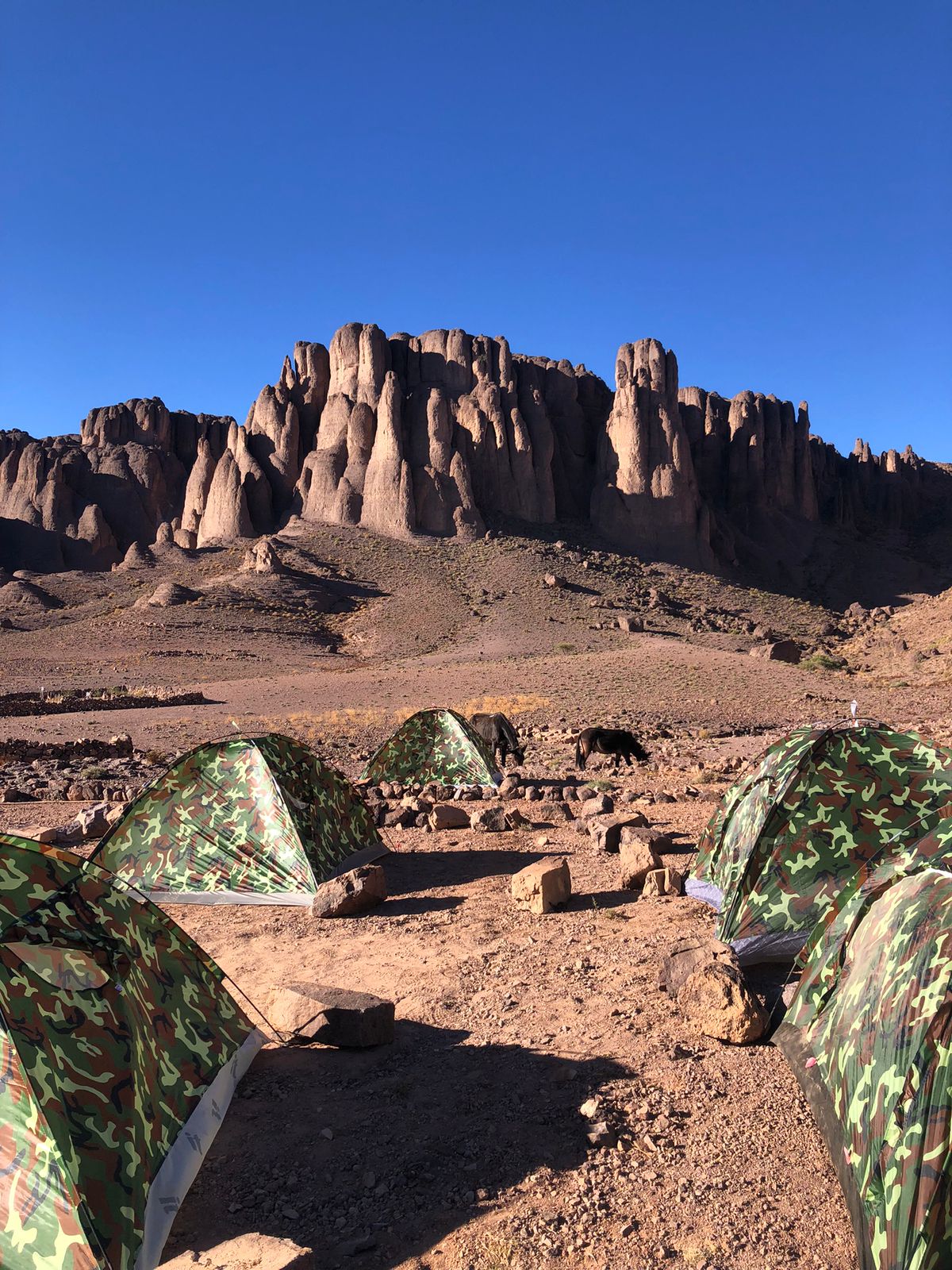 🏞 Voyage nature à Nkob – Vallées, montagnes et traditions