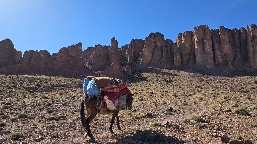 🏞 Voyage nature à Nkob – Vallées, montagnes et traditions