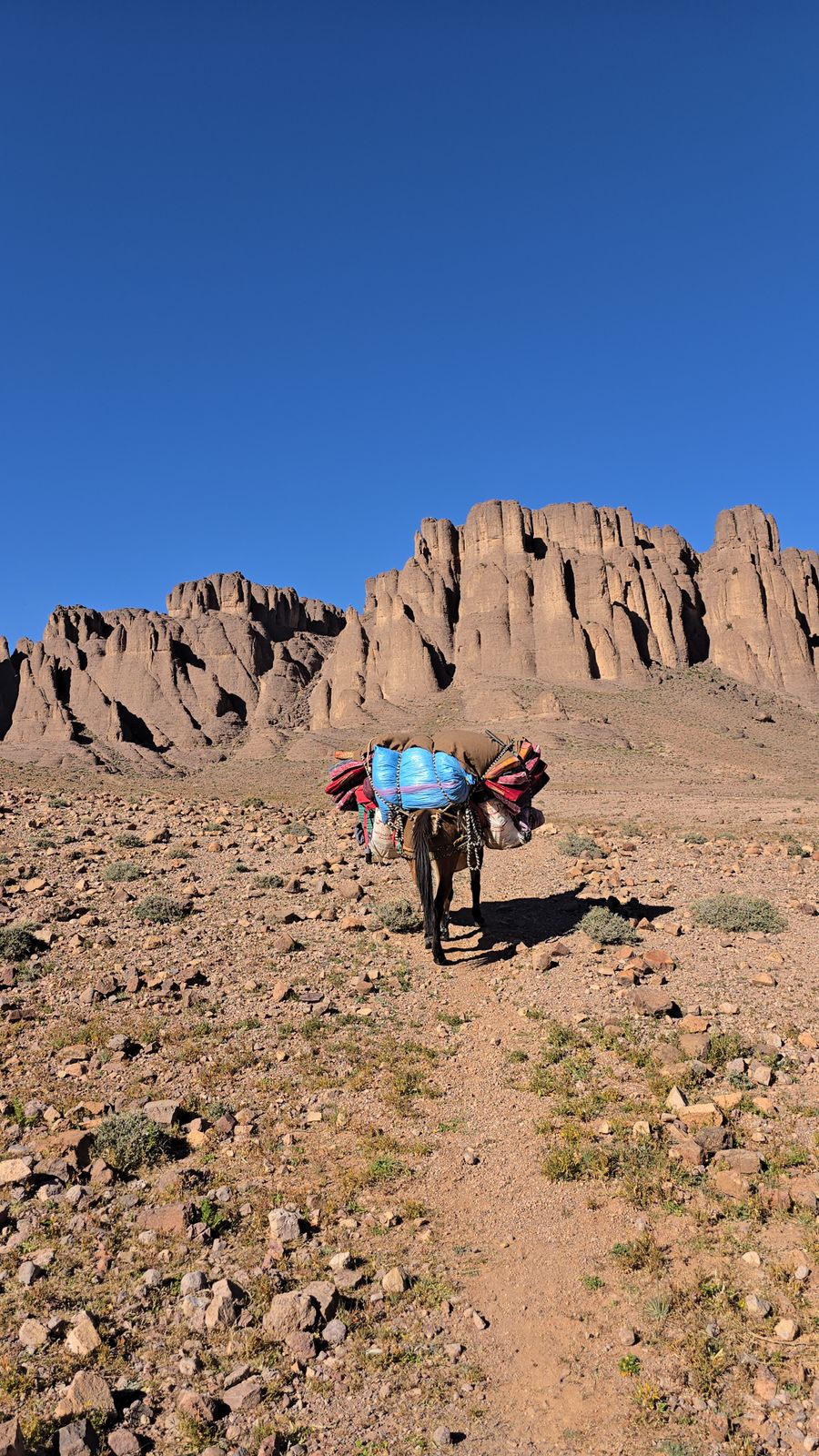 🏞 Voyage nature à Nkob – Vallées, montagnes et traditions
