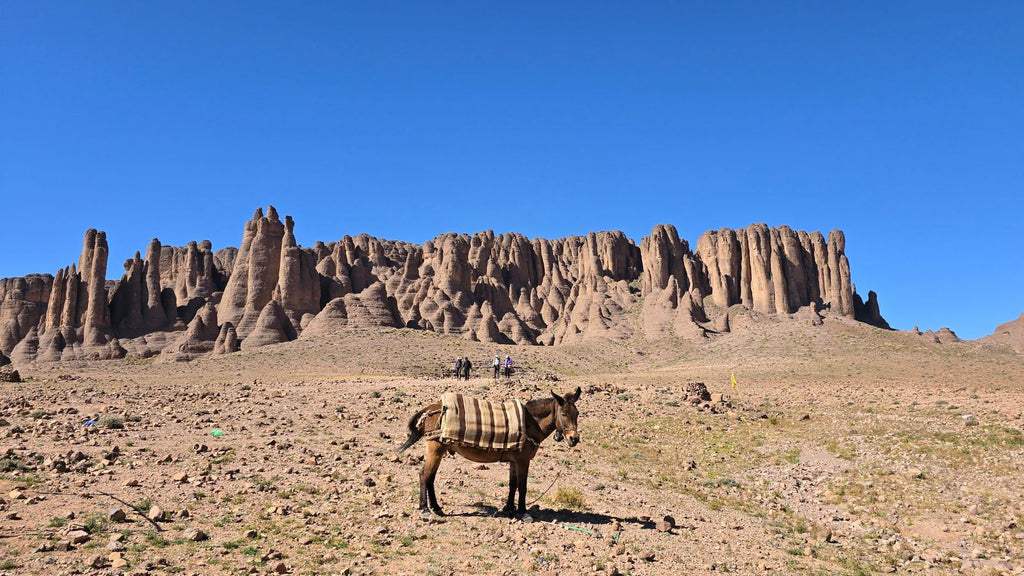🏞 Voyage nature à Nkob – Vallées, montagnes et traditions
