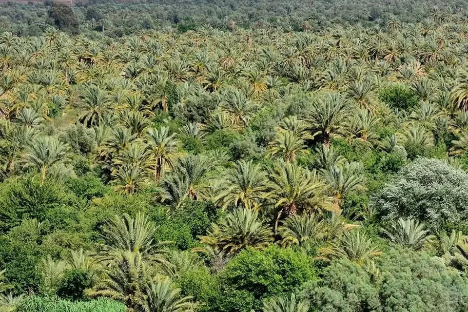 Programme Maroc 6 jours / 5 nuits – Atlas et Désert du Sahara