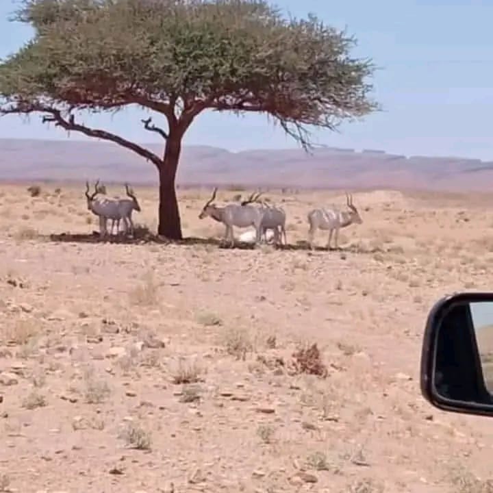 Programme Maroc 6 jours / 5 nuits – Atlas et Désert du Sahara