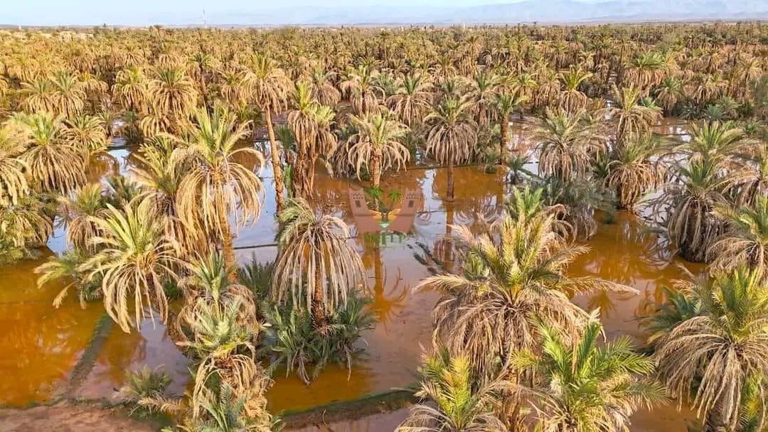 Programme Maroc 6 jours / 5 nuits – Atlas et Désert du Sahara