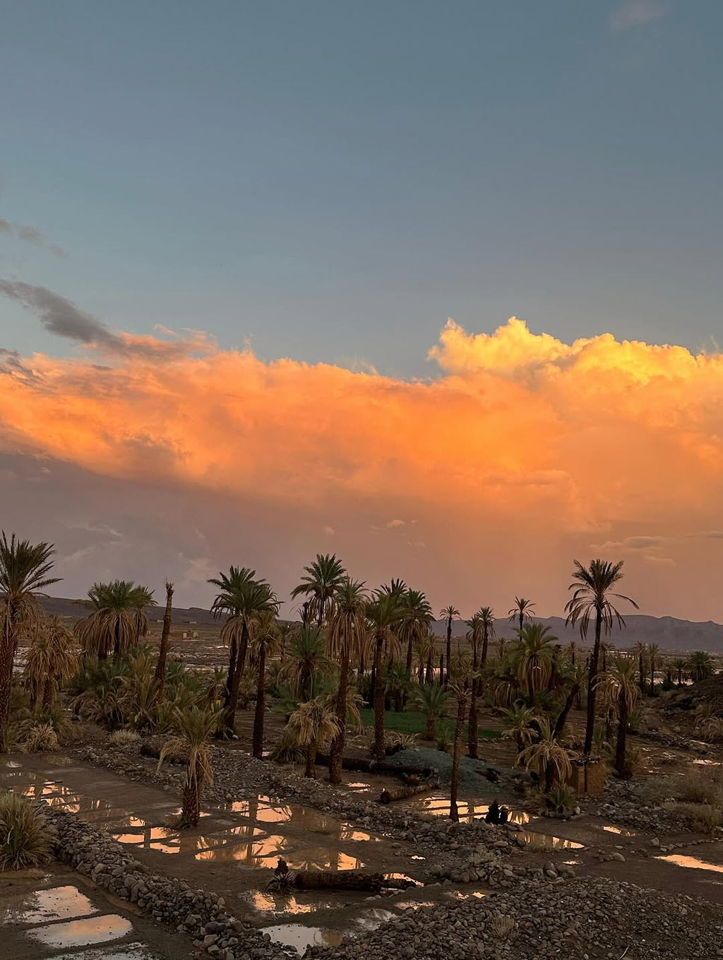 Programme Maroc 6 jours / 5 nuits – Atlas et Désert du Sahara